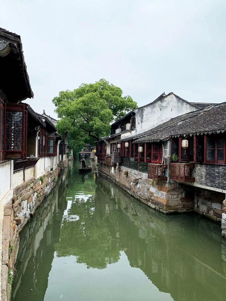 毫无意外，Gen横扫BRO！网友：S级战队就应该零封C级战队！
